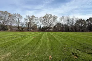 86 Hot Spgs Wy, Benson, NC 27504 - Photo 21