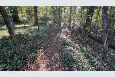 401 Laurel Hill Road, Chapel Hill, NC 27514 - Photo 31