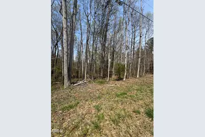 0 Hurdle Mills Road, Roxboro, NC 27574 - Photo 1