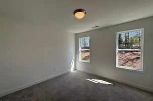 114 Cinnabar St, Clayton, NC 27527 - Photo 13