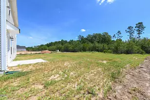 128 Ambrosia Wy, Bunnlevel, NC 28323 - Photo 31