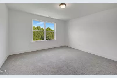 120 Silver Pine #Lot 59, Angier, NC 27501 - Photo 27