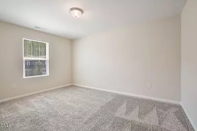 87 Anise Tree Way, Clayton, NC 27527 - Photo 33