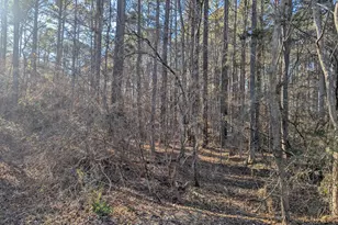 0 Shocco Springs, Warrenton, NC 27589 - Photo 1