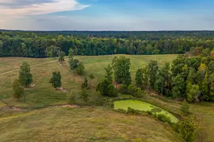 2727 Lower Moncure Rd, Sanford, NC 27330 - Photo 63