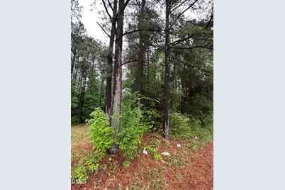 0 W River Road, Franklinton, NC 27525 - Photo 3