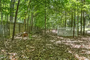 209 Butternut, Chapel Hill, NC 27514 - Photo 37