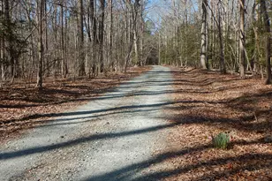205 Anolis Dr, Pittsboro, NC 27312 - Photo 91