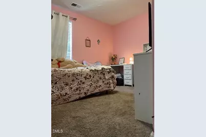 407 Mineral Spring Lane, Fuquay Varina, NC 27526 - Photo 23