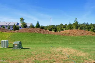 1058 Tea Rose Ct, Durham, NC 27703 - Photo 27