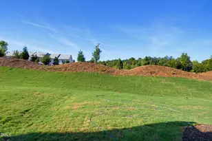 1054 Tea Rose Ct, Durham, NC 27703 - Photo 27