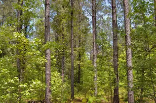 G G F Ball Rd, Louisburg, NC 27549 - Photo 1