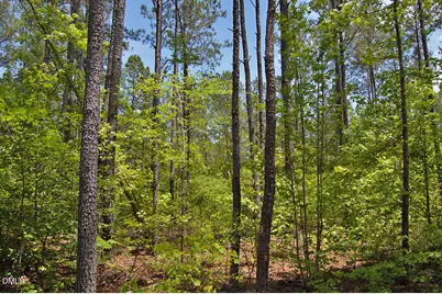 G G F Ball Road, Louisburg, NC 27549 - Photo 5
