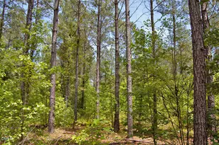 N G F Ball Rd, Louisburg, NC 27549 - Photo 1