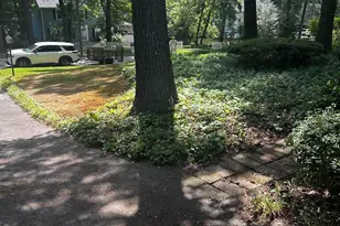 5313 Cypress Ln, Raleigh, NC 27609 - Photo 33