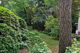 5100 Bambi Ct, Wake Forest, NC 27587 - Photo 53