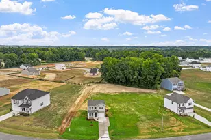 123 Bunker Hl Pl, Angier, NC 27501 - Photo 3