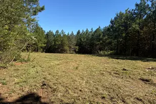 1034 Paschal Rd, Yanceyville, NC 27379 - Photo 1