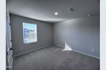 62 Thistle Patch Place, Angier, NC 27501 - Photo 11