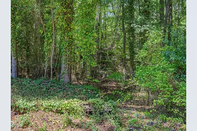 2509 Farrington Point Road, Chapel Hill, NC 27517 - Photo 37