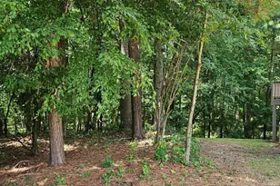 3204 Orchestra Ct, Apex, NC 27539 - Photo 61