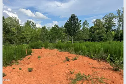 2 Gray Road, Timberlake, NC 27583 - Photo 13