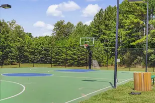 53 Spring Hollow Ct, Pittsboro, NC 27312 - Photo 59