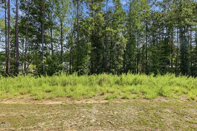 180 Everglade Way, Angier, NC 27501 - Photo 27