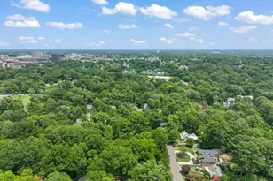 1016 Wells St, Durham, NC 27707 - Photo 39