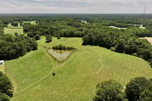 8341 Riley Hill Rd, Zebulon, NC 27597 - Photo 15