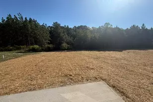 137 Pne Vis Wy, Sanford, NC 27332 - Photo 13