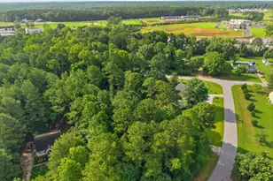 108 Bristol Ct, Youngsville, NC 27596 - Photo 49