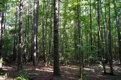 38 Acres Timberlake Road, Louisburg, NC 27549 - Photo 15