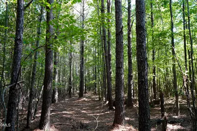 44.75 Acre Timberlake Road, Louisburg, NC 27549 - Photo 29