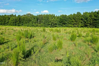 44.75 Acre Timberlake Road, Louisburg, NC 27549 - Photo 27