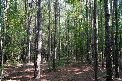 44.75 Acre Timberlake Road, Louisburg, NC 27549 - Photo 45
