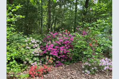 6604 Willow Chase Drive, Willow Springs, NC 27592 - Photo 63