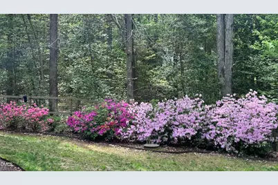 6604 Willow Chase Drive, Willow Springs, NC 27592 - Photo 61