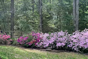 6604 Willow Chase Dr, Willow Springs, NC 27592 - Photo 61