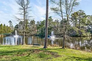 206 Great Ridge Ct, Morrisville, NC 27560 - Photo 57
