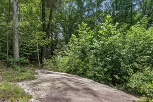 979 Natchez Trace Trace, Fuquay Varina, NC 27526 - Photo 29
