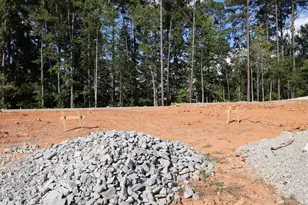 2912 Spg Mnr Wy, Garner, NC 27529 - Photo 3