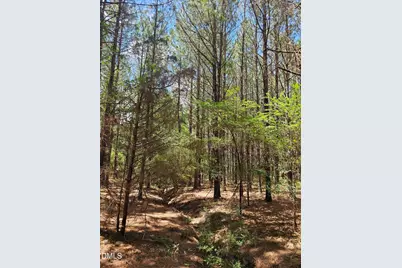850 Clarence Phillips Road, Bennett, NC 27208 - Photo 5