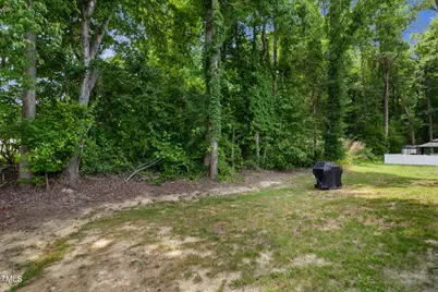 97 Chris Todd Way, Angier, NC 27501 - Photo 17
