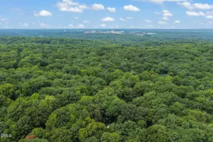 134 Hunter's Ridge Rd, Chapel Hill, NC 27517 - Photo 49