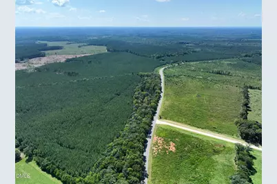 Lot 2 Hwy 42 Road, Goldston, NC 27252 - Photo 17