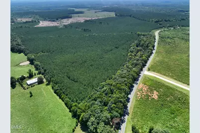 Lot 2 Hwy 42 Road, Goldston, NC 27252 - Photo 13