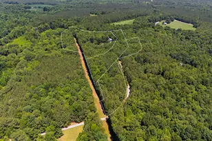 319 Wrights Way, Pittsboro, NC 27312 - Photo 3
