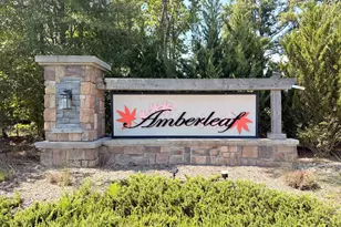 2902 Ledgestone Dr, Creedmoor, NC 27522 - Photo 33