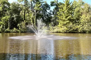 3607 Massey Pond Trail, Raleigh, NC 27616 - Photo 11
